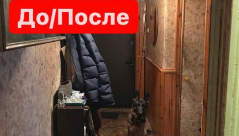 отзывы